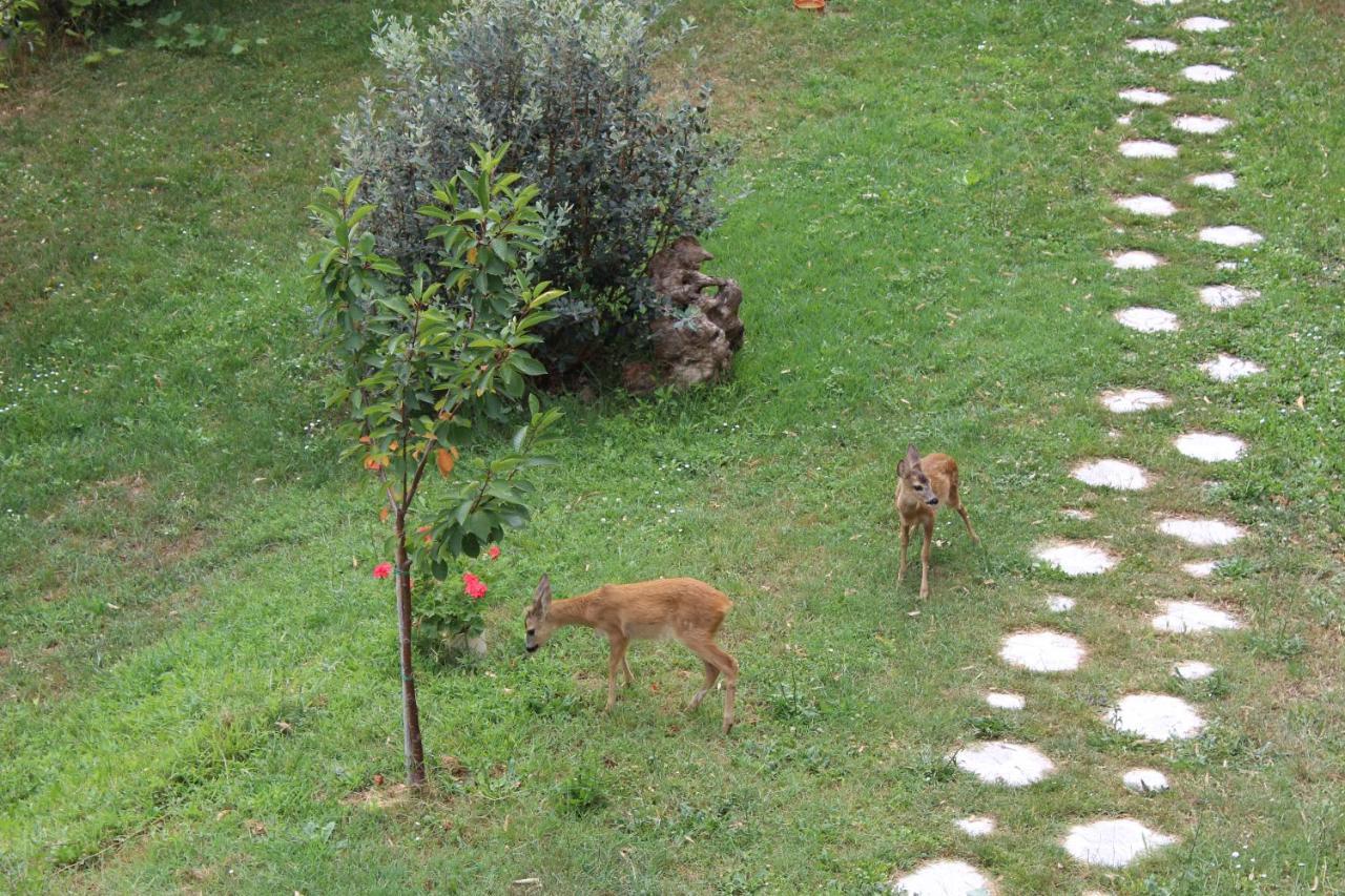 Segni E Impronta Finale Ligure Exterior foto