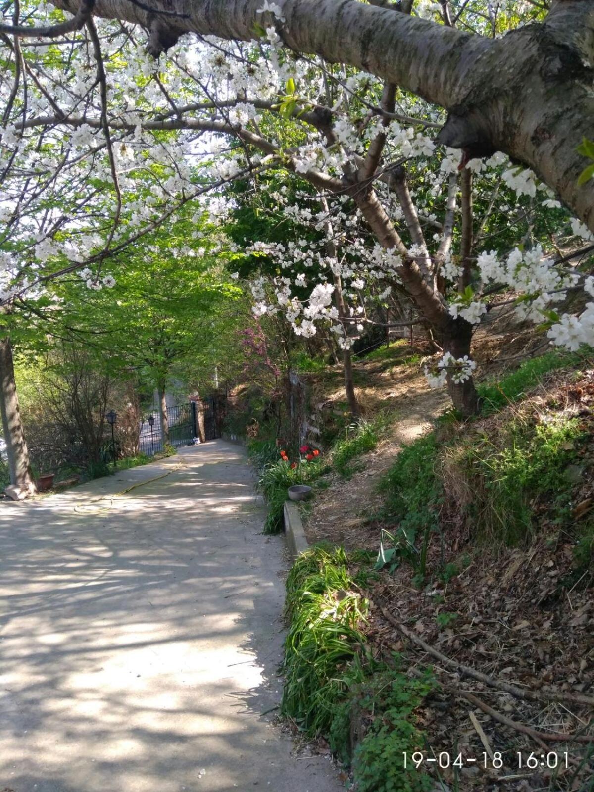 Segni E Impronta Finale Ligure Exterior foto