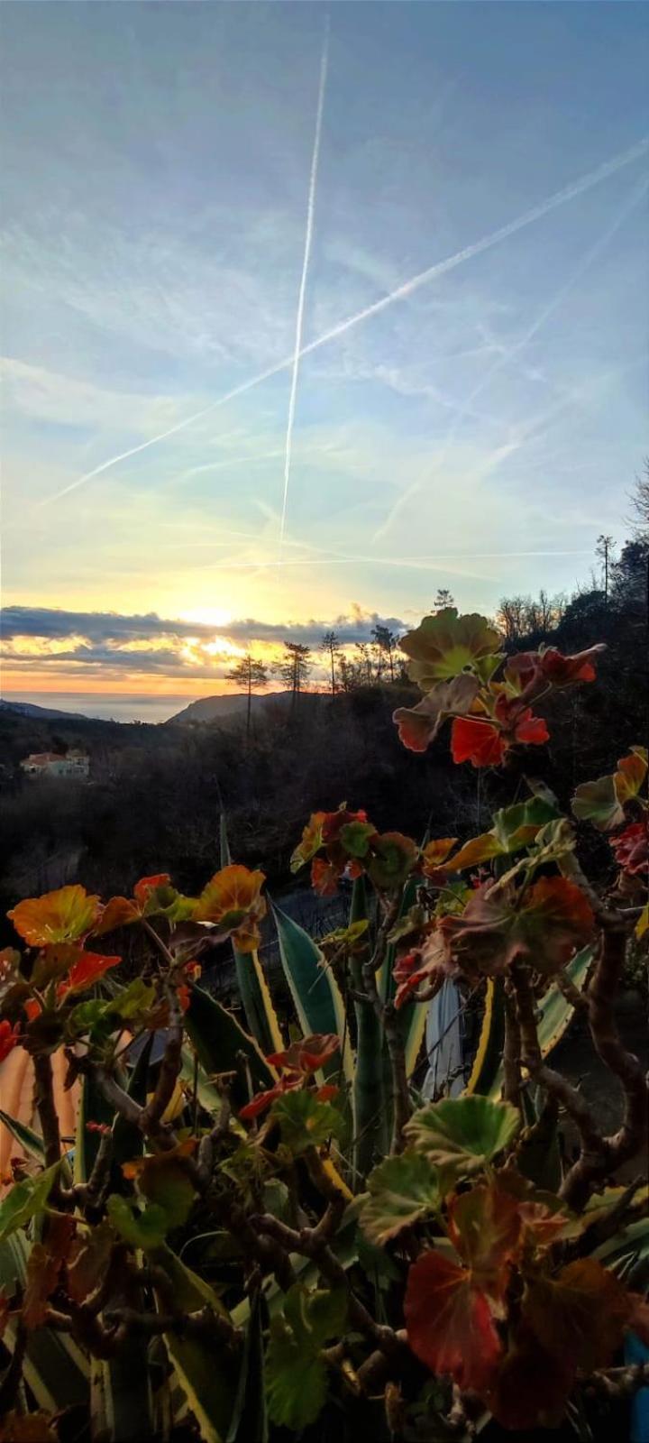 Segni E Impronta Finale Ligure Exterior foto